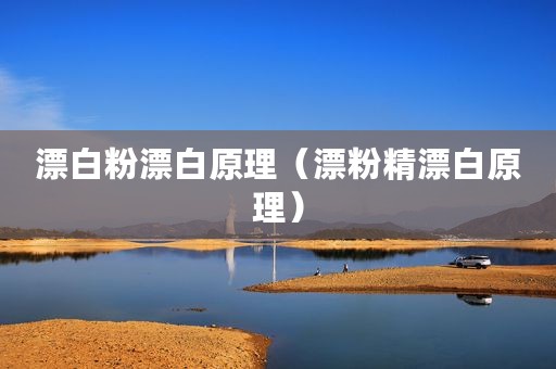 漂白粉漂白原理（漂粉精漂白原理）