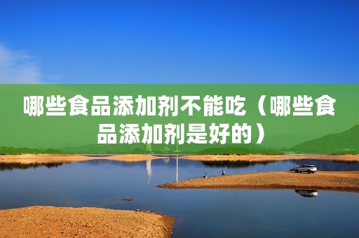 哪些食品添加剂不能吃（哪些食品添加剂是好的）
