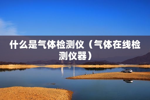 什么是气体检测仪（气体在线检测仪器）