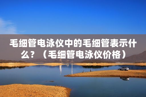 毛细管电泳仪中的毛细管表示什么？（毛细管电泳仪价格）