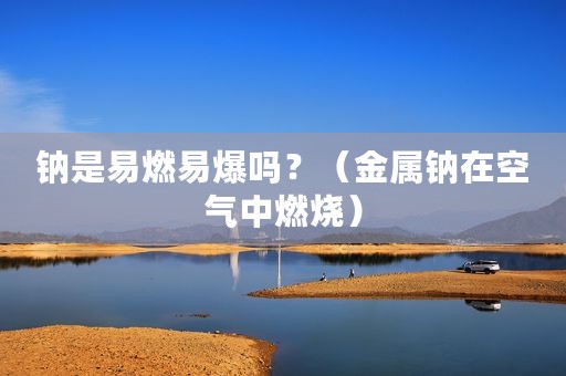 钠是易燃易爆吗？（金属钠在空气中燃烧）