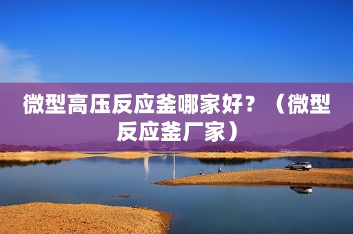 微型高压反应釜哪家好？（微型反应釜厂家）