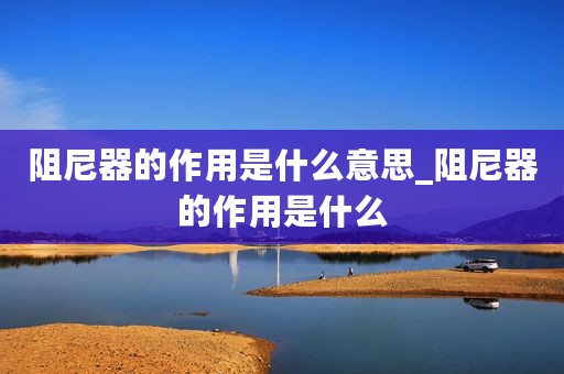 阻尼器的作用是什么意思_阻尼器的作用是什么
