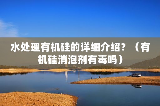 水处理有机硅的详细介绍？（有机硅消泡剂有毒吗）