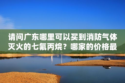 请问广东哪里可以买到消防气体灭火的七氟丙烷？哪家的价格最低？（七氟丙烷气体灭火系统厂家）