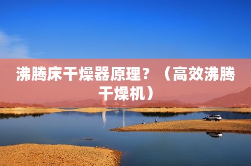 沸腾床干燥器原理？（高效沸腾干燥机）