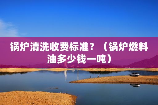锅炉清洗收费标准？（锅炉燃料油多少钱一吨）