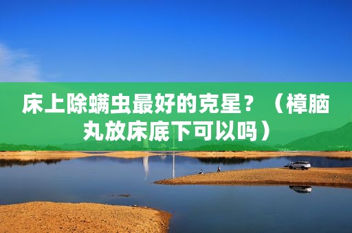 床上除螨虫最好的克星？（樟脑丸放床底下可以吗）