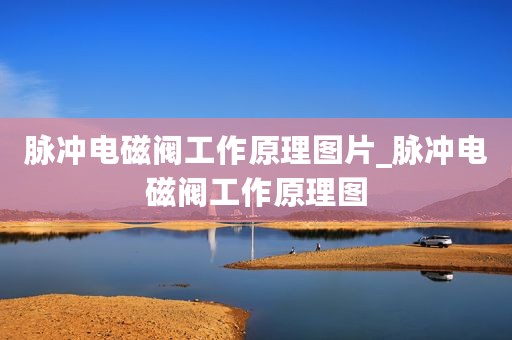 脉冲电磁阀工作原理图片_脉冲电磁阀工作原理图