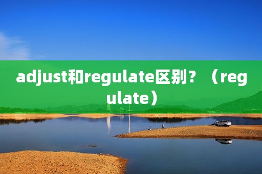 adjust和regulate区别？（regulate）