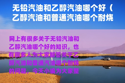 无铅汽油和乙醇汽油哪个好（乙醇汽油和普通汽油哪个耐烧）