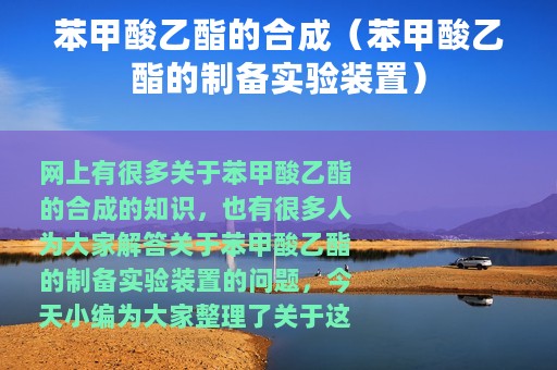 苯甲酸乙酯的合成（苯甲酸乙酯的制备实验装置）