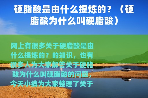 硬脂酸是由什么提炼的？（硬脂酸为什么叫硬脂酸）