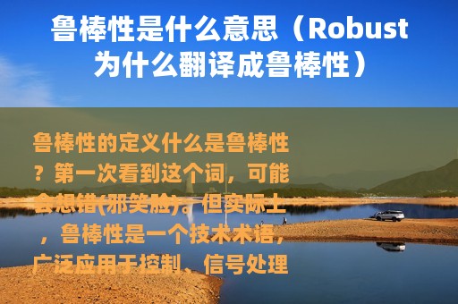 鲁棒性是什么意思（Robust为什么翻译成鲁棒性）