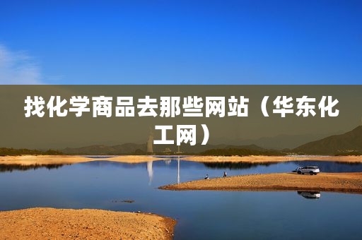 找化学商品去那些网站（华东化工网）