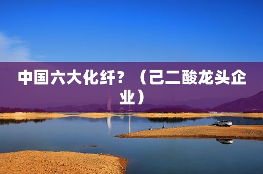 中国六大化纤？（己二酸龙头企业）