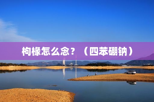 枸椽怎么念？（四苯硼钠）