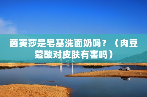 茵芙莎是皂基洗面奶吗？（肉豆蔻酸对皮肤有害吗）