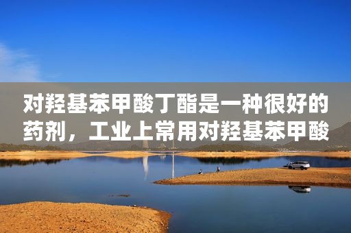 对羟基苯甲酸丁酯是一种很好的药剂，工业上常用对羟基苯甲酸与丁醇在浓硫酸催化下进行酯化反应而制得。以（苯甲酸丁酯）