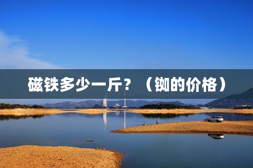 磁铁多少一斤？（铷的价格）