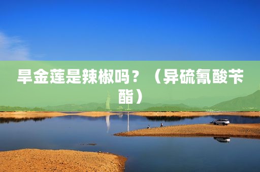 旱金莲是辣椒吗？（异硫氰酸苄酯）