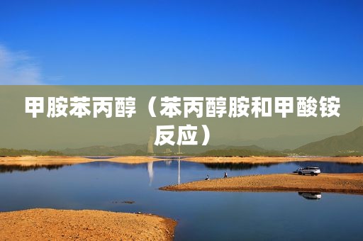 甲胺苯丙醇（苯丙醇胺和甲酸铵反应）