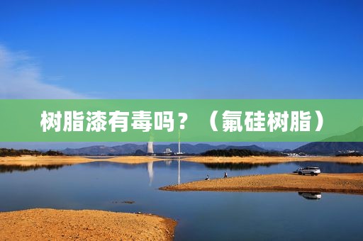 树脂漆有毒吗？（氟硅树脂）