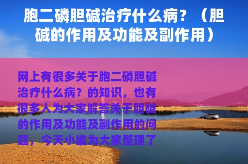 胞二磷胆碱治疗什么病？（胆碱的作用及功能及副作用）