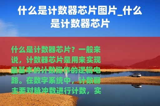 什么是计数器芯片图片_什么是计数器芯片