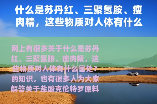 什么是苏丹红、三聚氢胺、瘦肉精，这些物质对人体有什么害处？（盐酸克伦特罗原料）