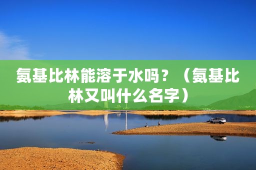 氨基比林能溶于水吗？（氨基比林又叫什么名字）