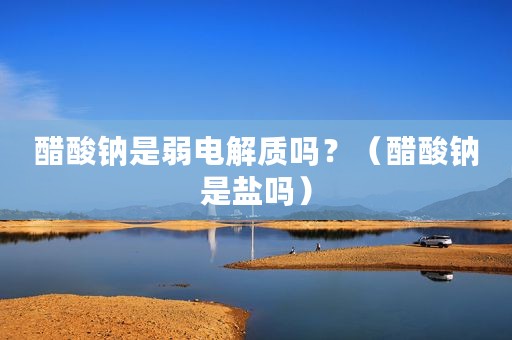 醋酸钠是弱电解质吗？（醋酸钠是盐吗）
