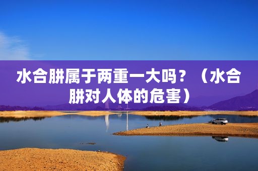 水合肼属于两重一大吗？（水合肼对人体的危害）
