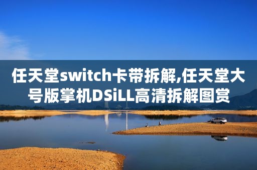 任天堂switch卡带拆解,任天堂大号版掌机DSiLL高清拆解图赏