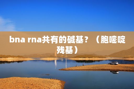 bna rna共有的碱基？（胞嘧啶残基）