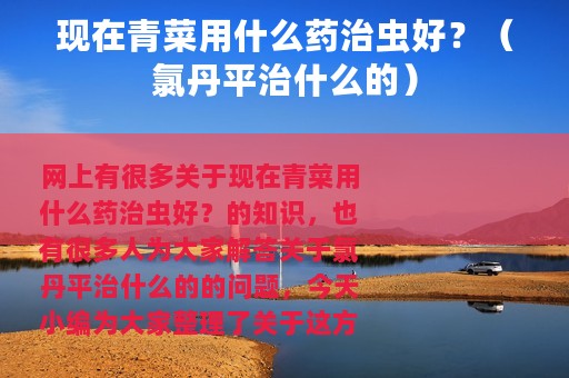 现在青菜用什么药治虫好？（氯丹平治什么的）