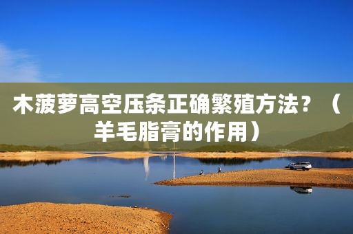 木菠萝高空压条正确繁殖方法？（羊毛脂膏的作用）