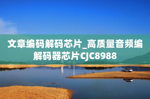 文章编码解码芯片_高质量音频编解码器芯片CJC8988