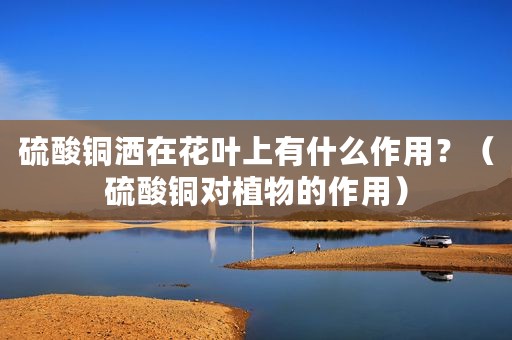 硫酸铜洒在花叶上有什么作用？（硫酸铜对植物的作用）