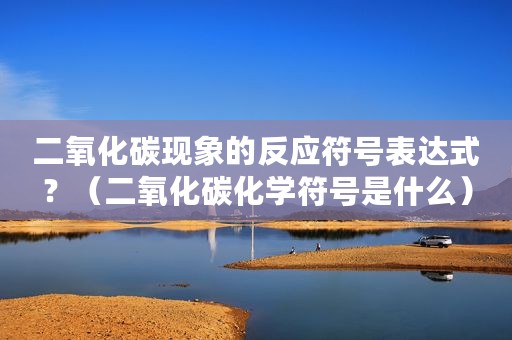 二氧化碳现象的反应符号表达式？（二氧化碳化学符号是什么）