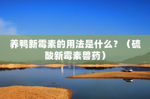 养鸭新霉素的用法是什么？（硫酸新霉素兽药）