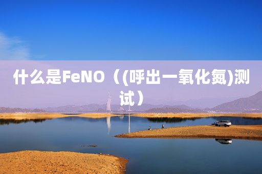 什么是FeNO（(呼出一氧化氮)测试）