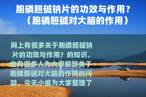 胞磷胆碱钠片的功效与作用？（胞磷胆碱对大脑的作用）