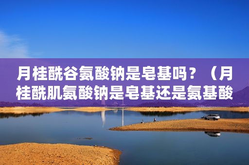 月桂酰谷氨酸钠是皂基吗？（月桂酰肌氨酸钠是皂基还是氨基酸）