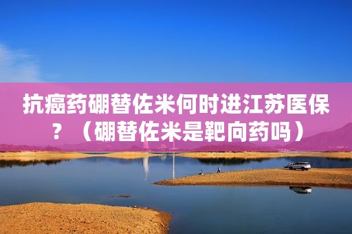抗癌药硼替佐米何时进江苏医保？（硼替佐米是靶向药吗）