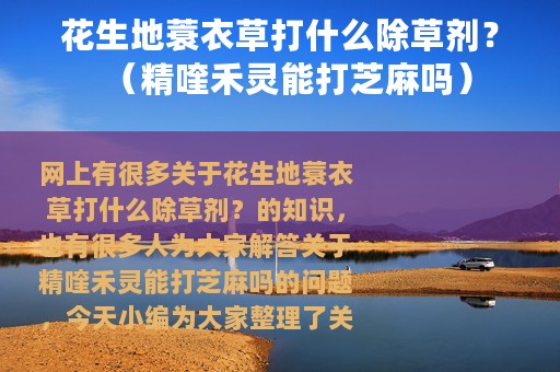 花生地蓑衣草打什么除草剂？（精喹禾灵能打芝麻吗）