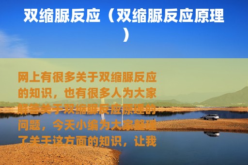 双缩脲反应（双缩脲反应原理）