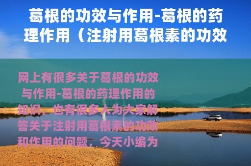 葛根的功效与作用-葛根的药理作用（注射用葛根素的功效和作用）