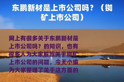 东鹏新材是上市公司吗？（铷矿上市公司）