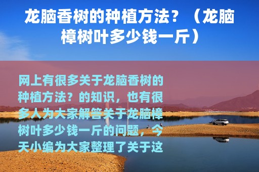 龙脑香树的种植方法？（龙脑樟树叶多少钱一斤）
